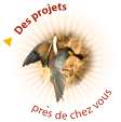 Des projets près de chez vous